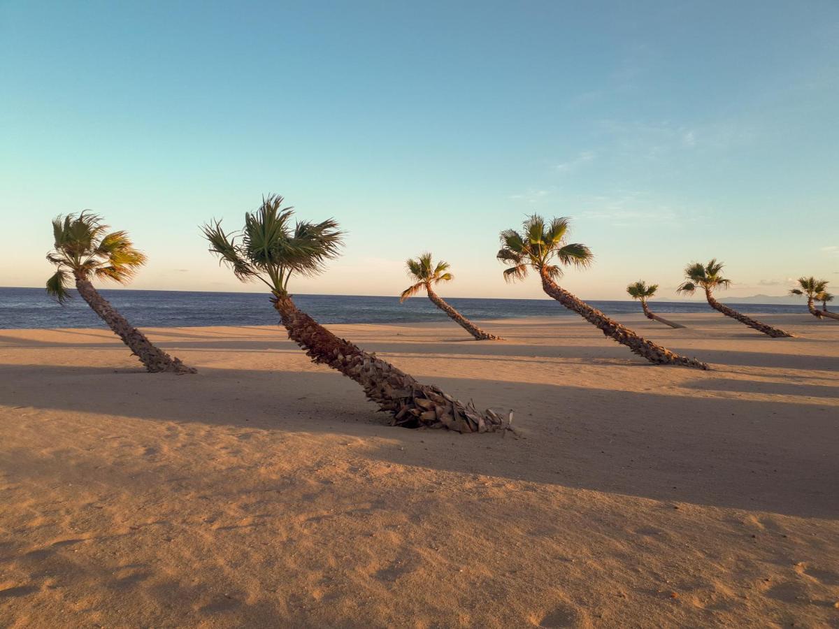 Appart Avec Terrasse Et Magnifique Vue Sur La Mer Le Barcarès Екстериор снимка